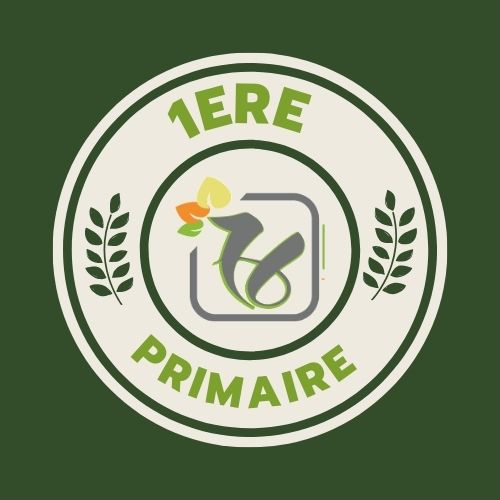 محمي: 1ère Primaire